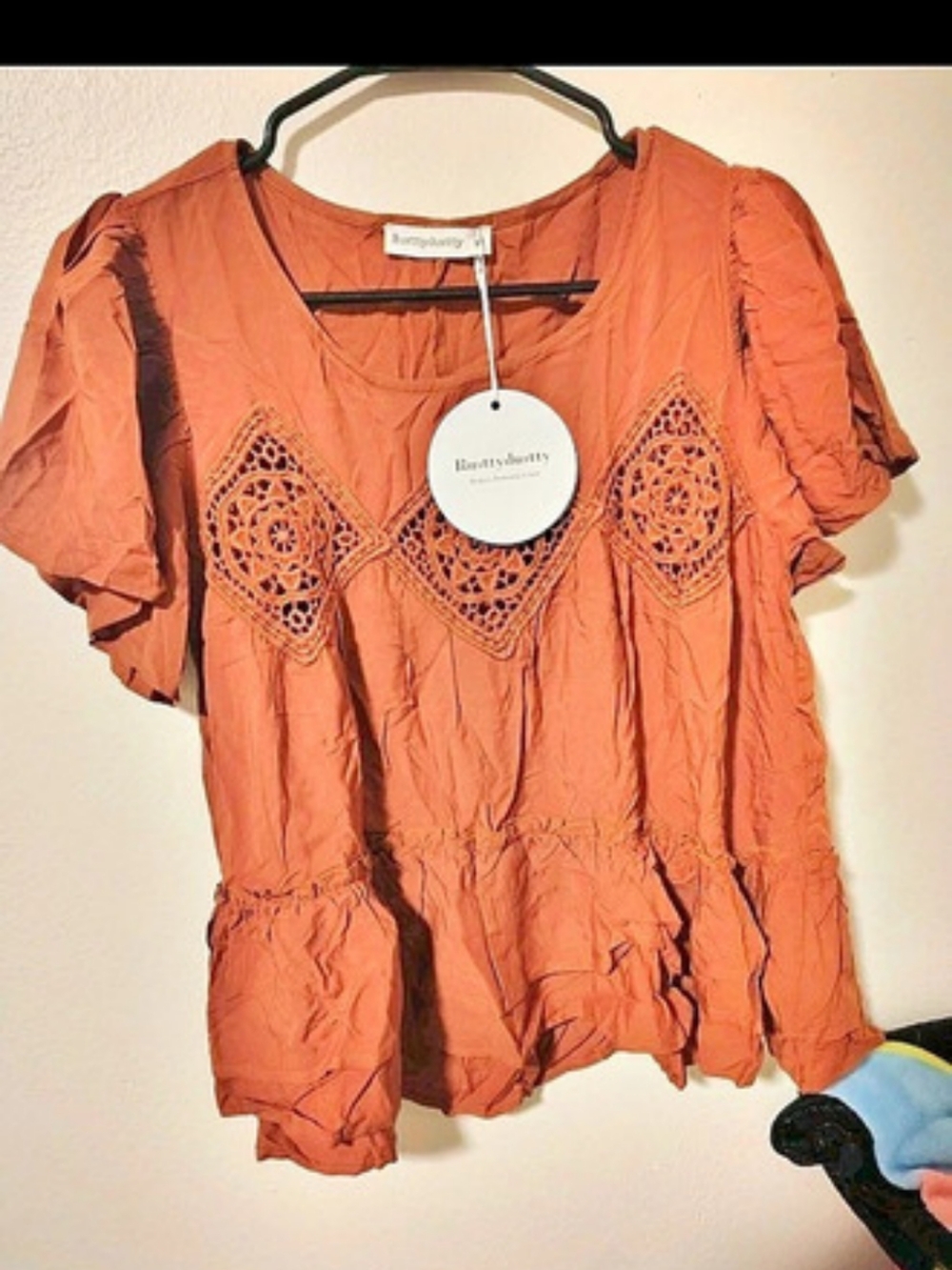 Rustydisksy Embroidered Puff Sleeve Blouse in Brown Size Medium NWT